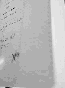 bullet-journal