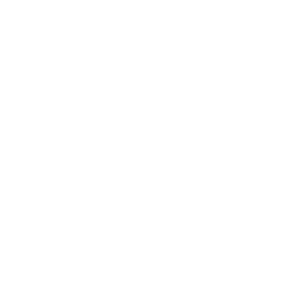 Html Lang [WebDev Log 0]